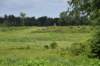 dsc_2978_fs_small.jpg
