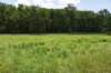 dsc_2979_fs_small.jpg