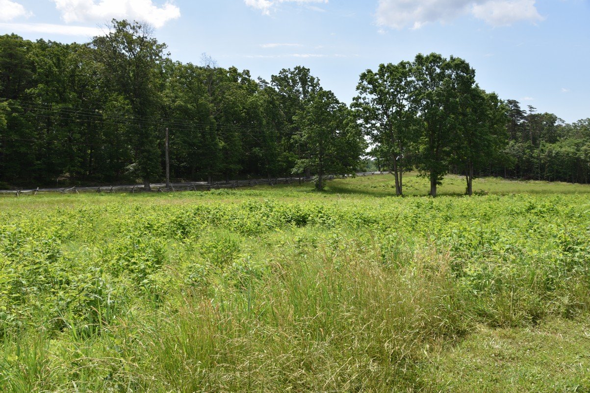 dsc_2980_fs.jpg