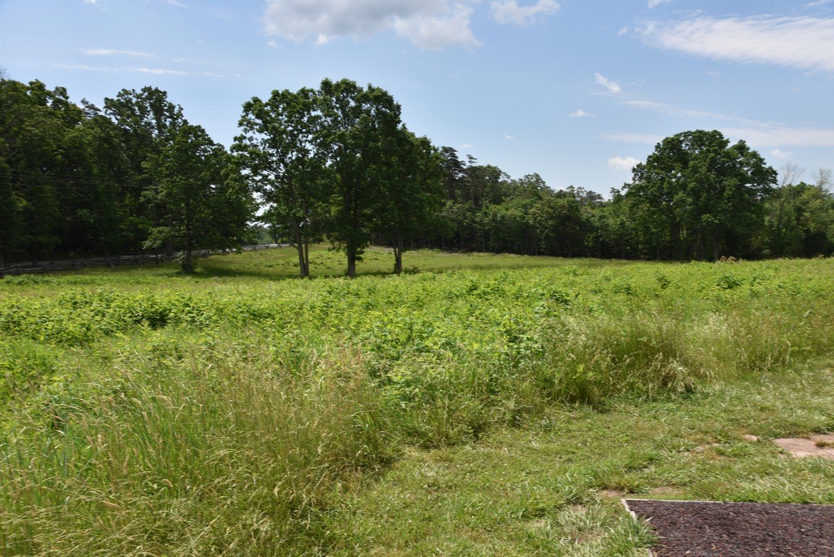 dsc_2981_fs.jpg