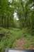 dsc_3003_fs_small.jpg