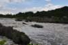 dsc_3162_fs_small.jpg