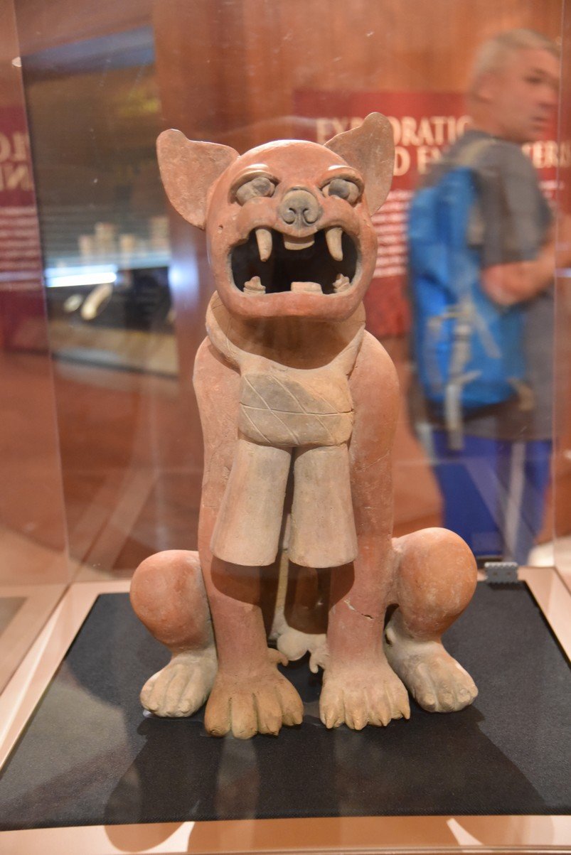 dsc_3537_fs.jpg