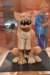 dsc_3537_fs_small.jpg