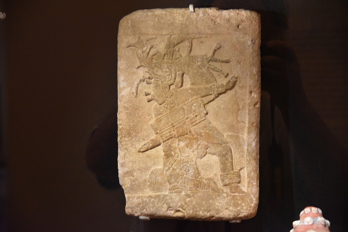 dsc_3564_fs.jpg