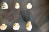 dsc_3618_fs_small.jpg