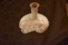 dsc_3631_fs_small.jpg