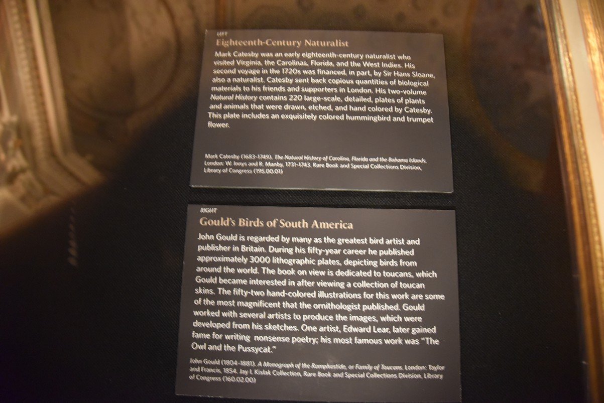 dsc_3634_fs.jpg