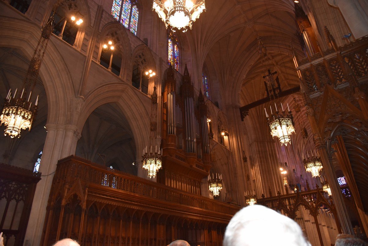 dsc_4140_fs.jpg