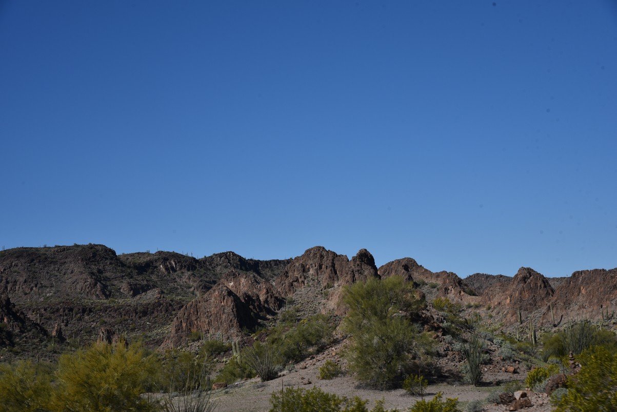 dsc_1867_fs.jpg