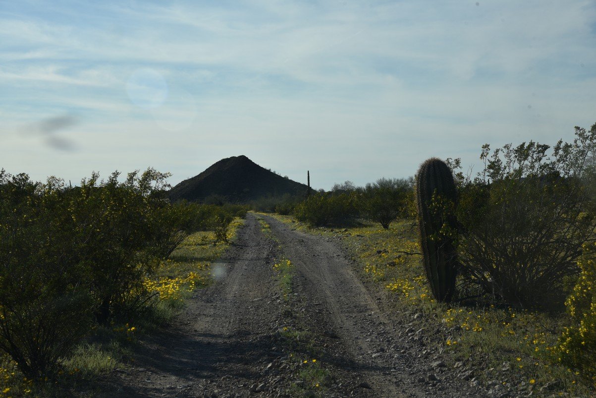 dsc_2155_fs.jpg