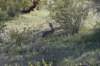 dsc_2159_fs_small.jpg