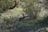 dsc_2162_fs_small.jpg