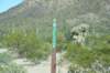dsc_2176_fs_small.jpg