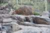 dsc_9354_fs_small.jpg