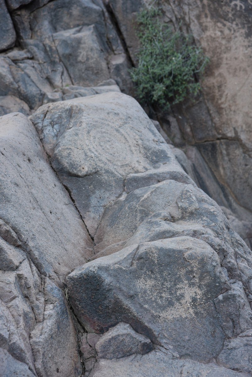 dsc_9357_fs.jpg