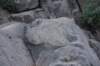 dsc_9358_fs_small.jpg