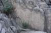 dsc_9375_fs_small.jpg