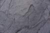 dsc_9379_fs_small.jpg