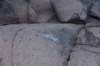 dsc_9380_fs_small.jpg