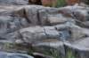 dsc_9395_fs_small.jpg