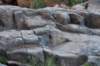 dsc_9396_fs_small.jpg