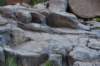 dsc_9397_fs_small.jpg