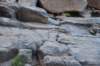 dsc_9398_fs_small.jpg