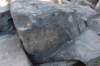 dsc_9401_fs_small.jpg