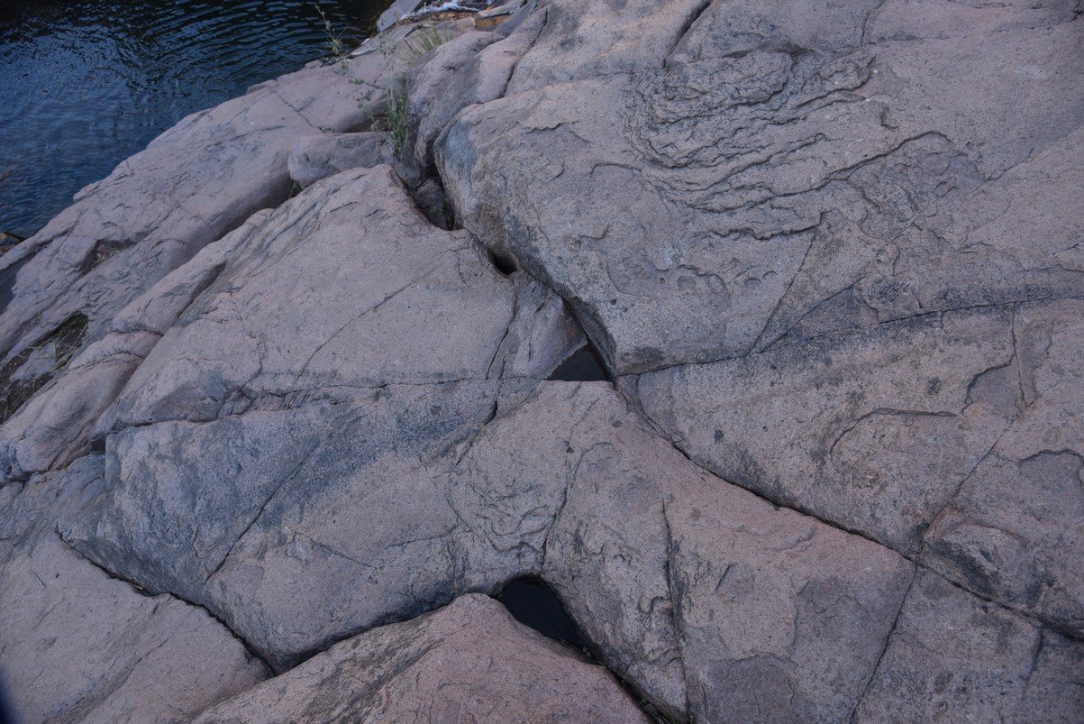 dsc_9405_fs.jpg