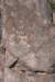 dsc_9416_fs_small.jpg