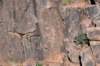 dsc_9420_fs_small.jpg