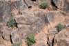 dsc_9421_fs_small.jpg