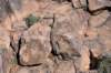 dsc_9422_fs_small.jpg