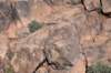 dsc_9423_fs_small.jpg
