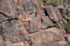 dsc_9424_fs_small.jpg