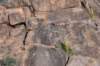 dsc_9426_fs_small.jpg