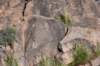 dsc_9427_fs_small.jpg