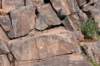 dsc_9430_fs_small.jpg