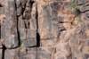 dsc_9432_fs_small.jpg