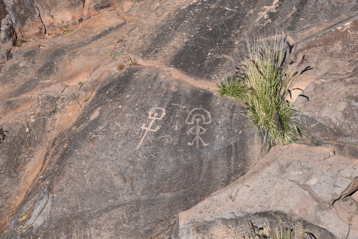 dsc_9434_fs.jpg