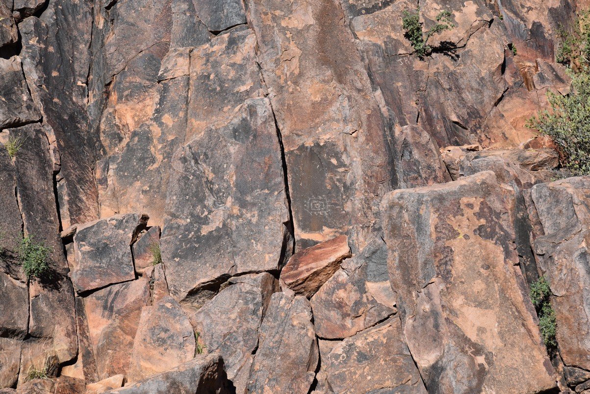 dsc_9436_fs.jpg