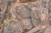 dsc_9437_fs_small.jpg