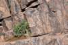 dsc_9438_fs_small.jpg