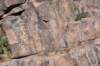 dsc_9439_fs_small.jpg
