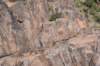 dsc_9440_fs_small.jpg