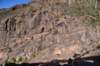 dsc_9445_fs_small.jpg