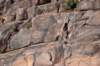dsc_9454_fs_small.jpg