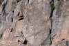 dsc_9463_fs_small.jpg
