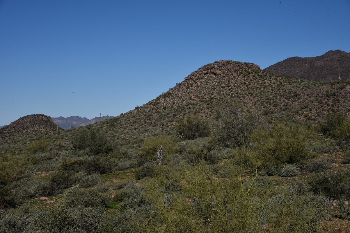 dsc_9512_fs.jpg